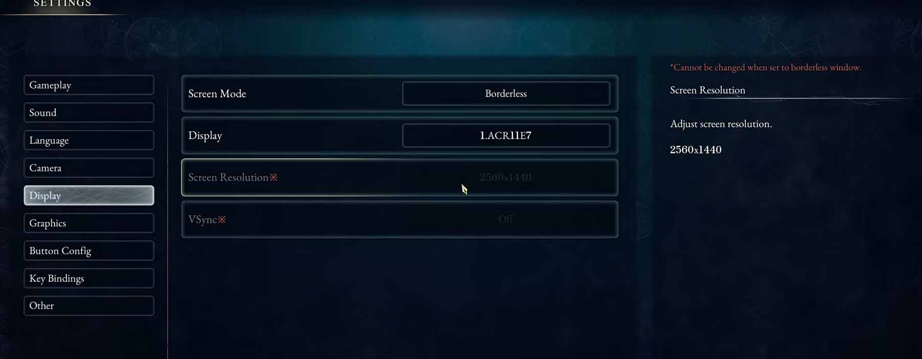 Beast of Reincarnation Display settings with Screen Mode set to Borderless