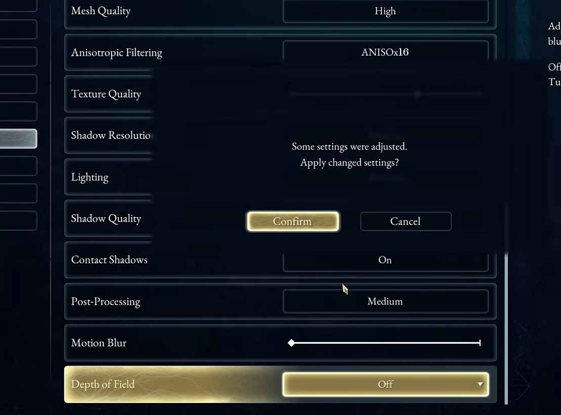 Beast of Reincarnation confirmation box asking to apply the changed settings